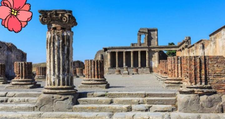 Pompei House Bed and Breakfast Scafati Εξωτερικό φωτογραφία